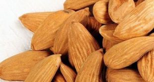 فروش عمده بادام ایرانی
