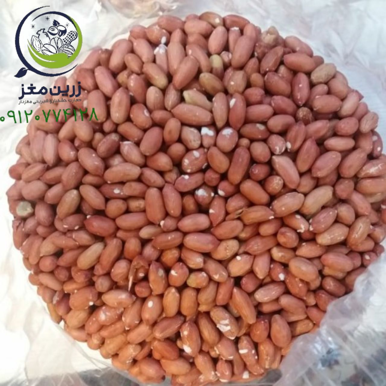 فروش بادام زمینی شرکت زرین 09120774128