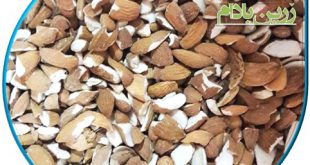 تجارت مغز بادام لپه 09120774128