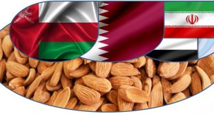 صادرات بادام مامایی به امارات ، قطر و عمان 09120774128