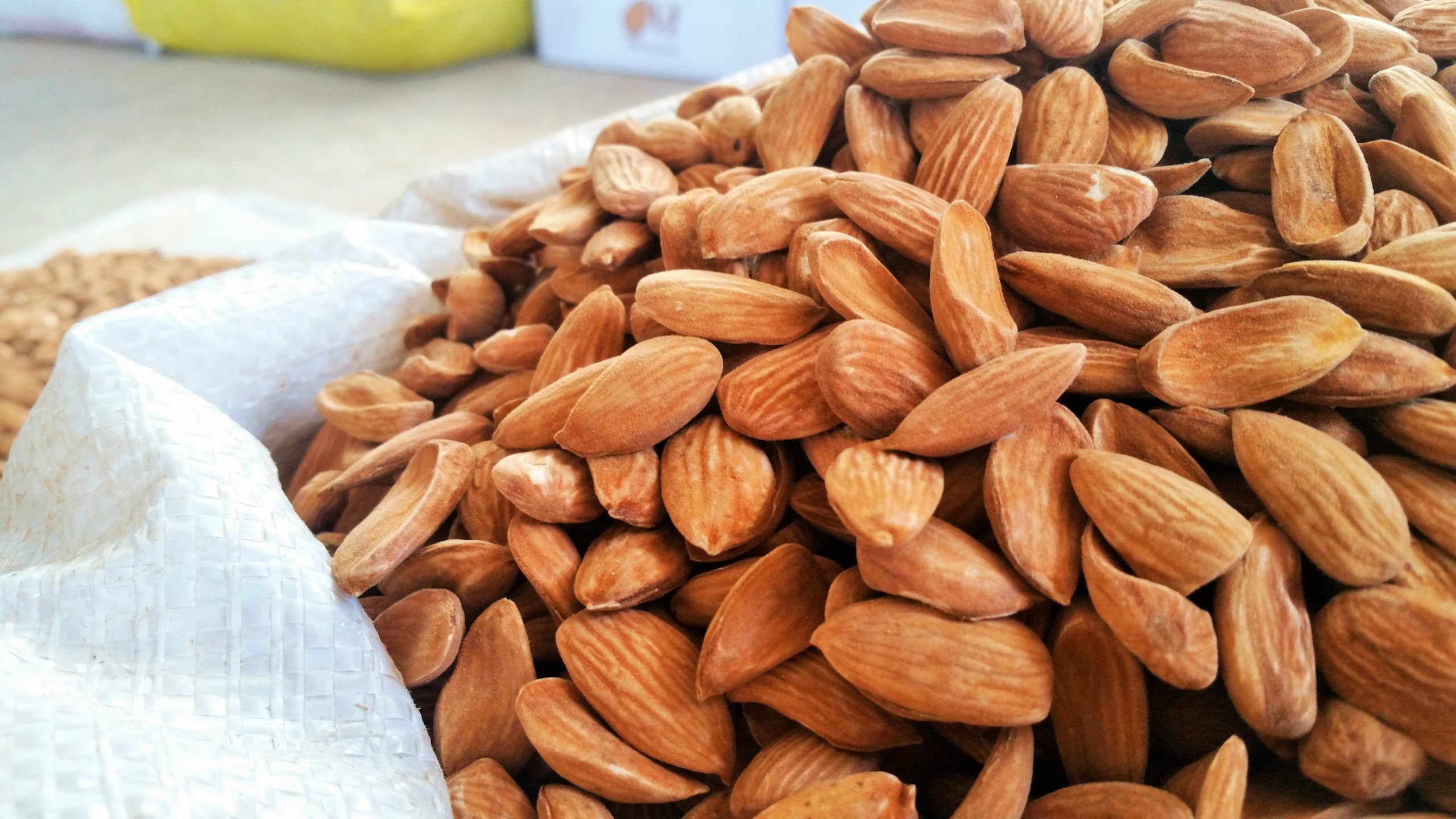 خرید فروش عمده مغز بادام مامایی 09120774128